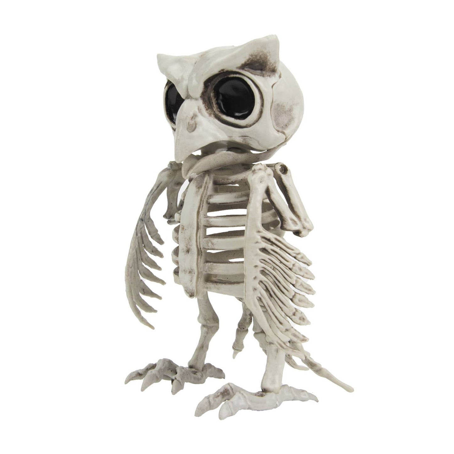 ESQUELETO DE BÚHO 17 CM