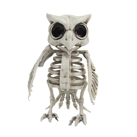 ESQUELETO DE BÚHO 17 CM