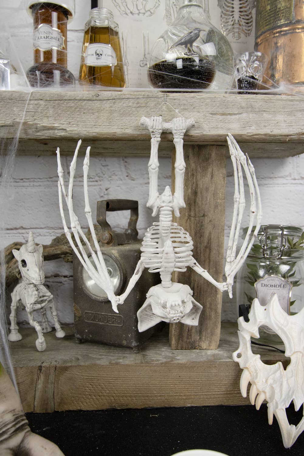 ESQUELETO DE MURCIÉLAGO 27 CM