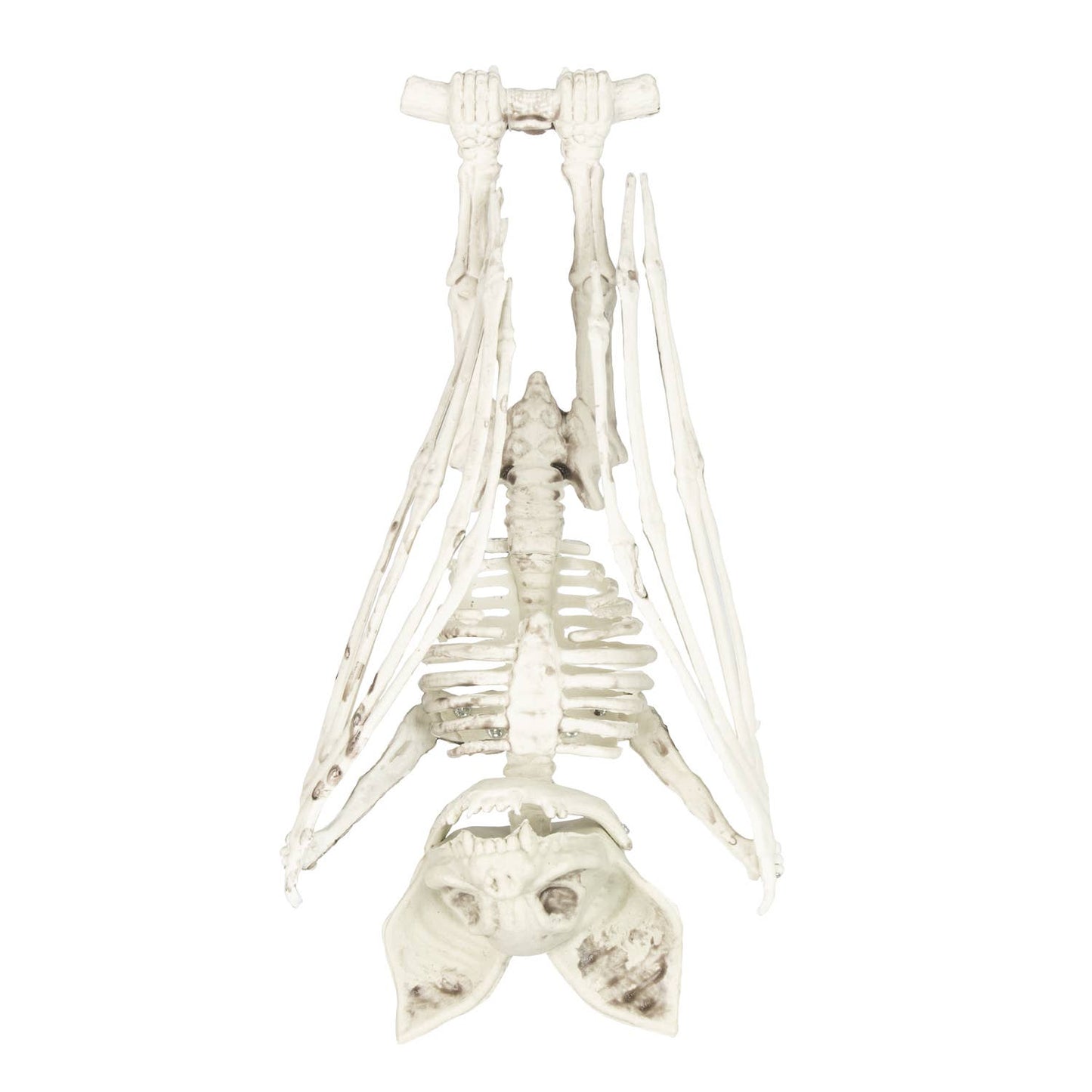 ESQUELETO DE MURCIÉLAGO 27 CM