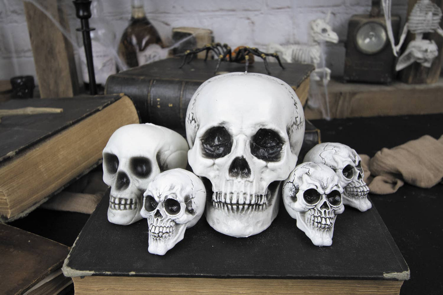 SET DE 6 CALAVERAS VARIADAS